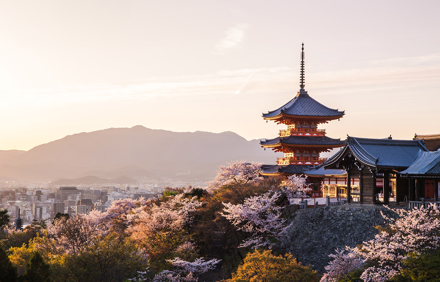 Kiyomizu-dera Temple Kirschblüte