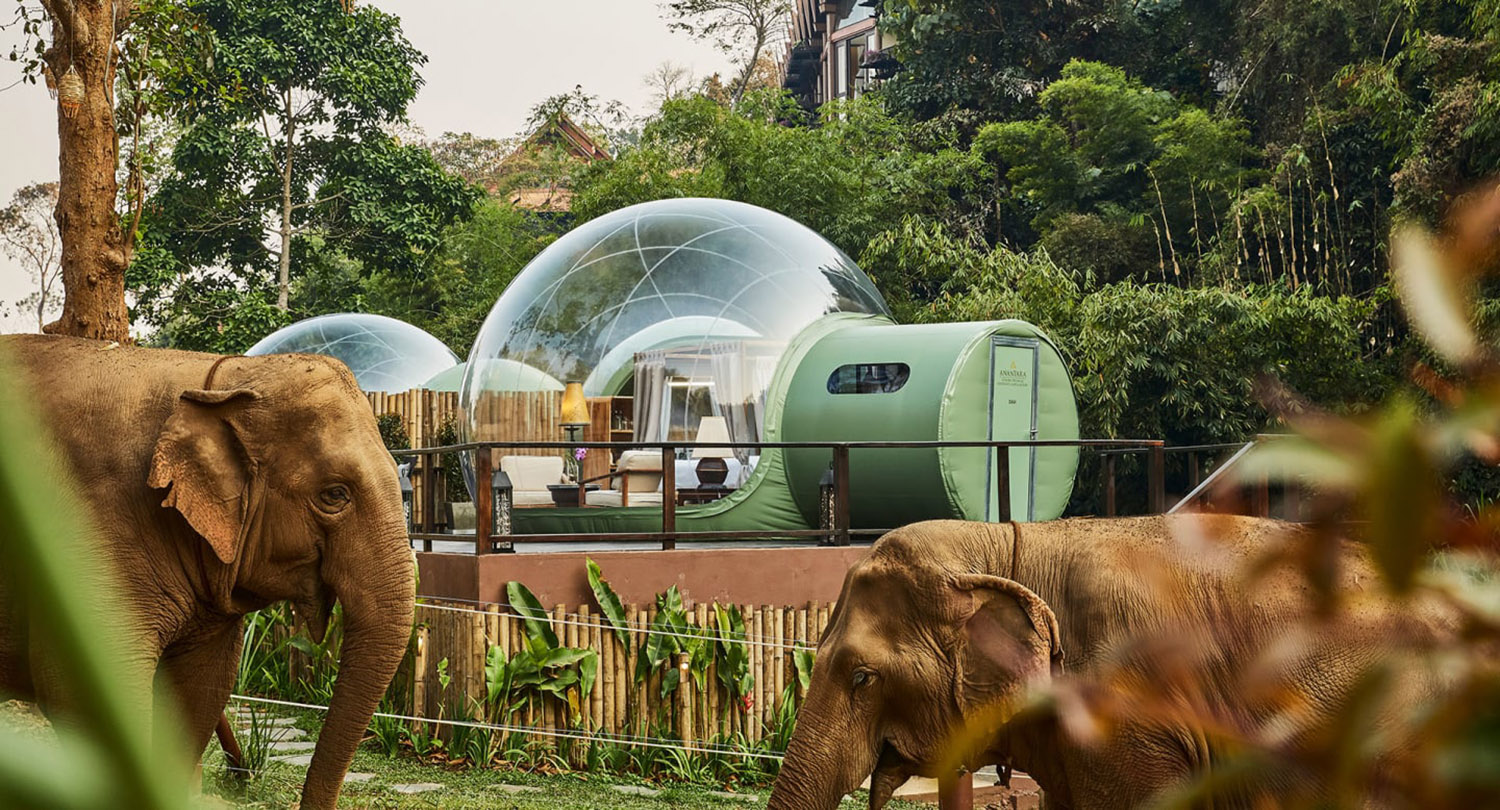 Die Anantara Jungle Bubble Lodge mit zwei Schlafzimmern lädt dazu ein, die Elefantenherde in freier Wildbahn zu beobachten. Urlaub im Dschungel mit Artenschutz!