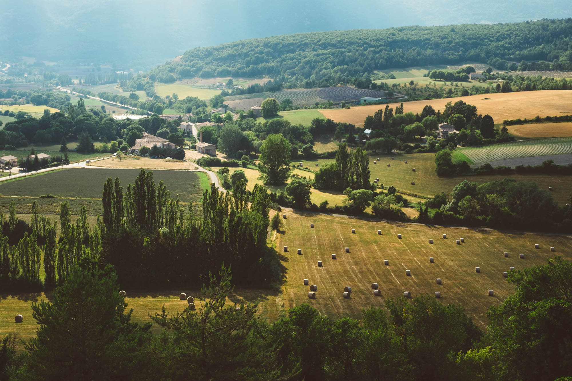 Die Provence mit ihren weiten Feldern, Pinienhainen und Dinkelfeldern. 