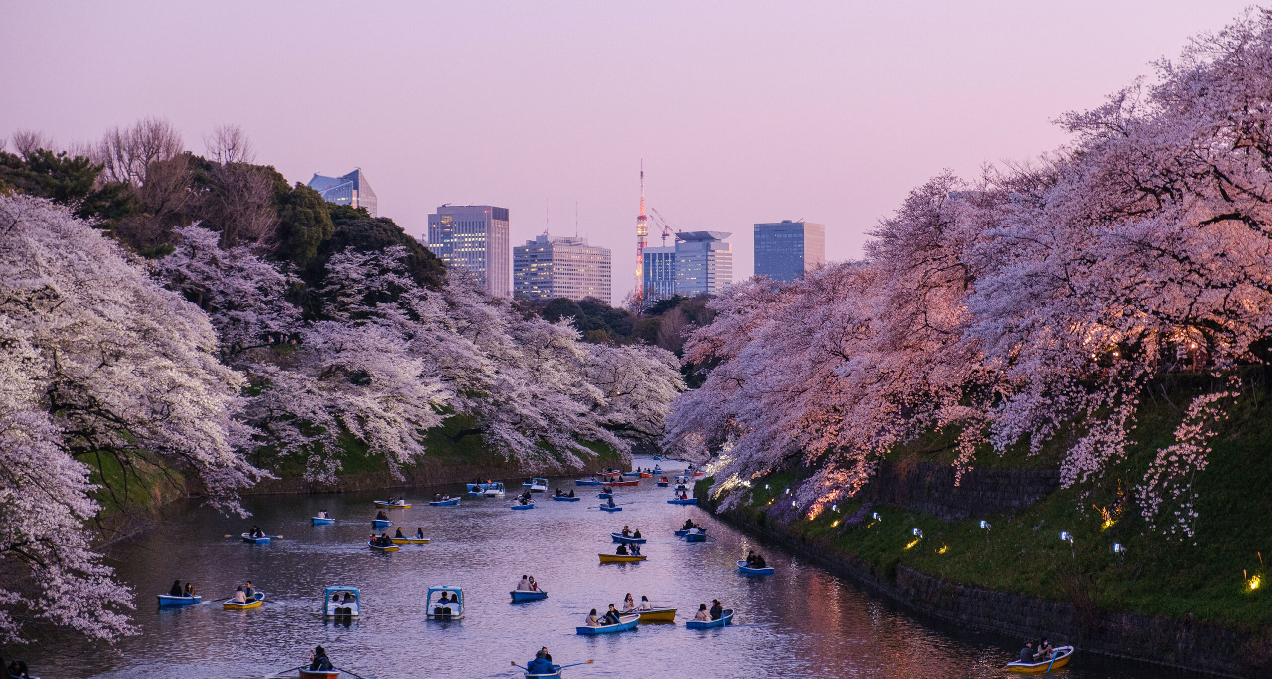 Cherry Blossom: Im Frühling lockt Japan mit seiner berühmten Kirschblüte. Wo und wann Reisende das beeindruckende Naturschauspiel des Inselstaates bewundern können, PLUS: die schönsten Hotels am blütenbedeckten Wegrand.