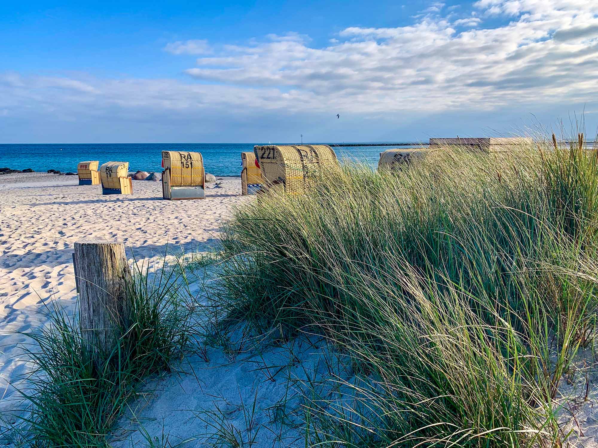 View of the sandy beach, traditional north german beach chairs and green grass on the island Fehmarn on Baltic sea