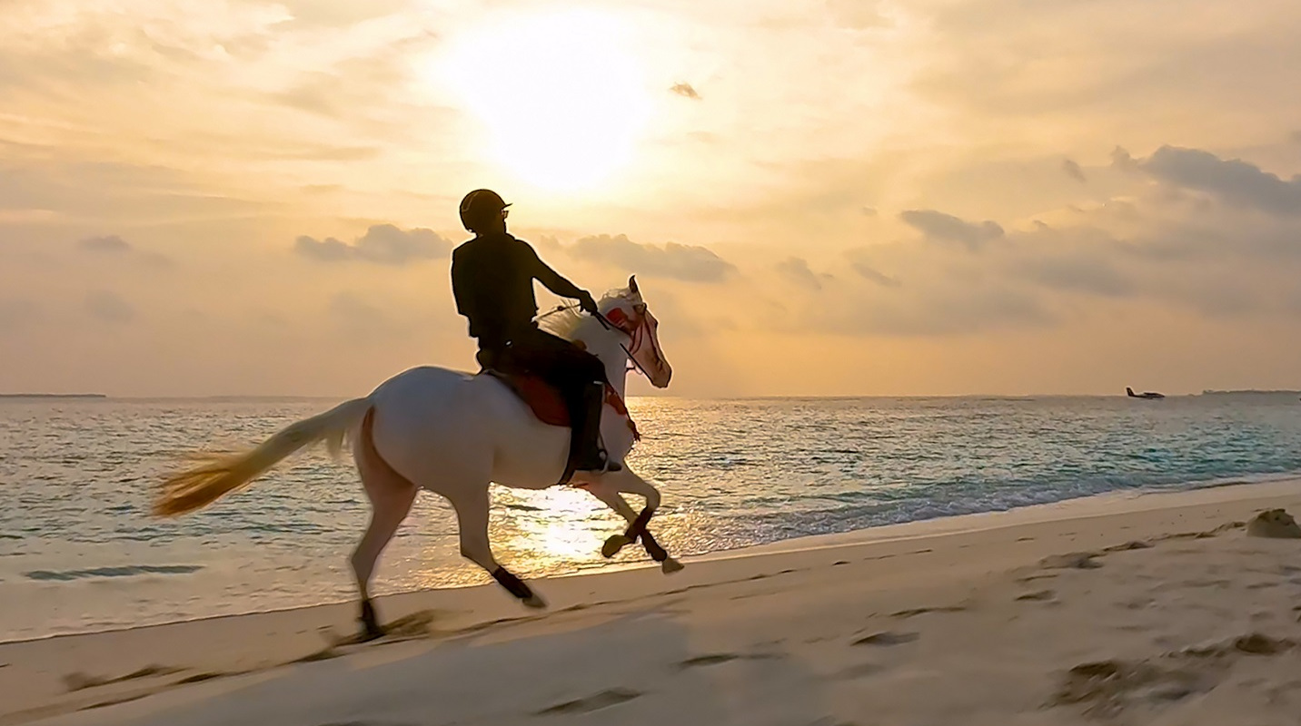Erste Pferderanch auf den Malediven Siyam World