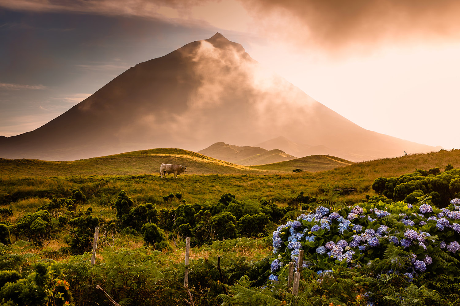 Der Vulkan auf Pico, Azoren
