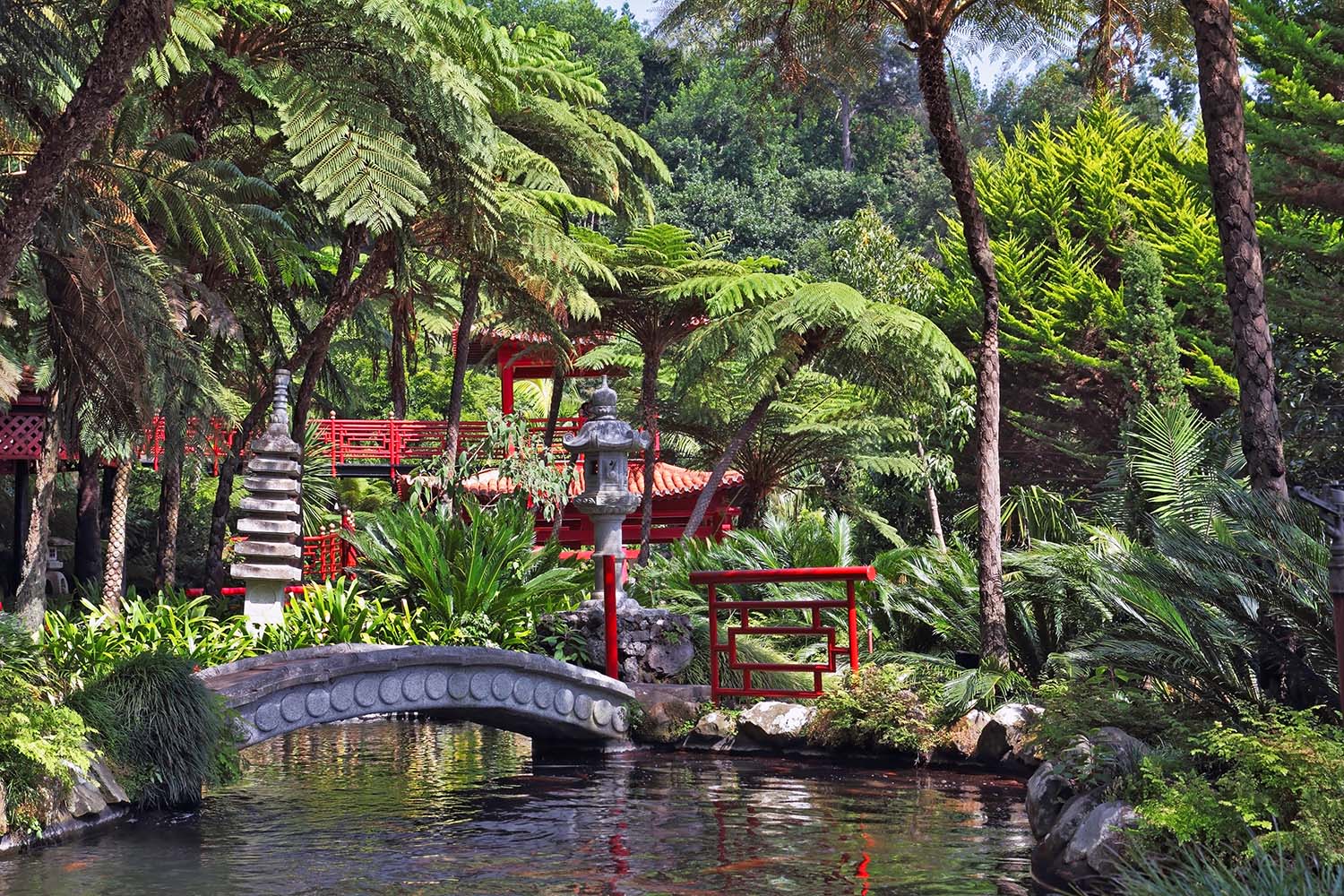  Chinese-style pavilions and a wonderful bridge over a pond with goldfish. Lovely park on the island of Madeira -  Monte Palace Tropical Garden
