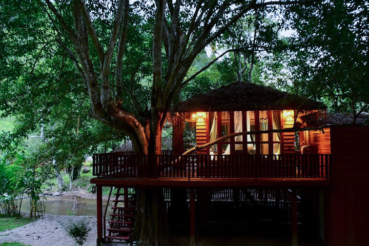 DreamCaught Baumhaus auf Airbnb