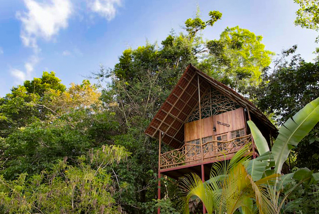 Rainforest Tree House auf Airbnb in Costa Rica