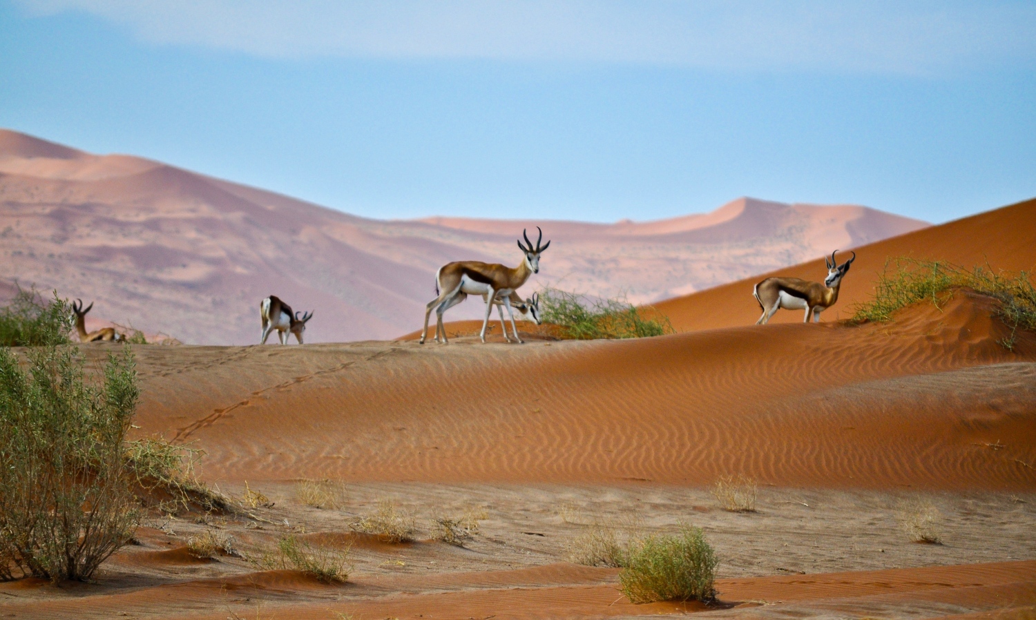 Reiseziele im Oktober: Namibia