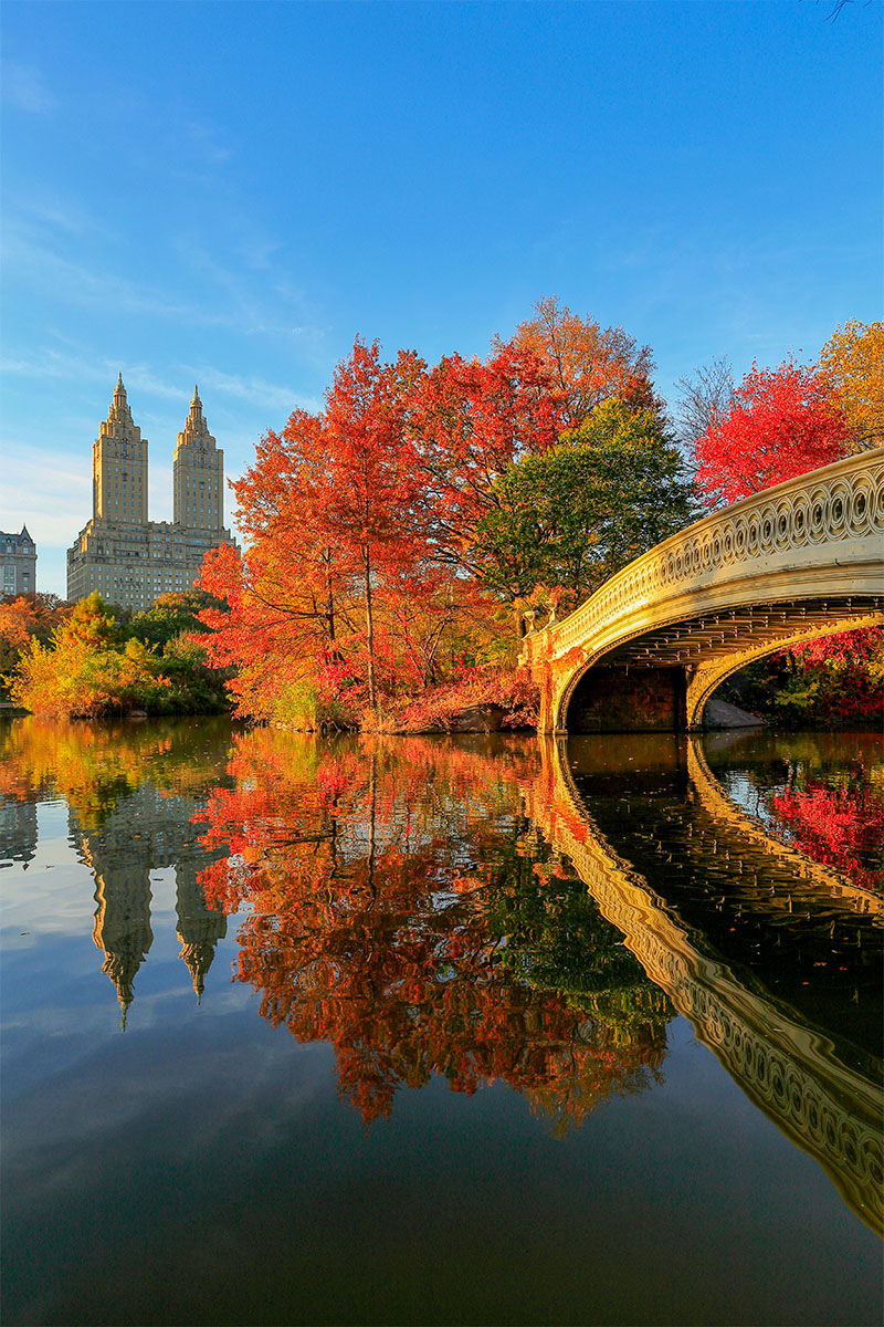 Goldene Momente im Central Park