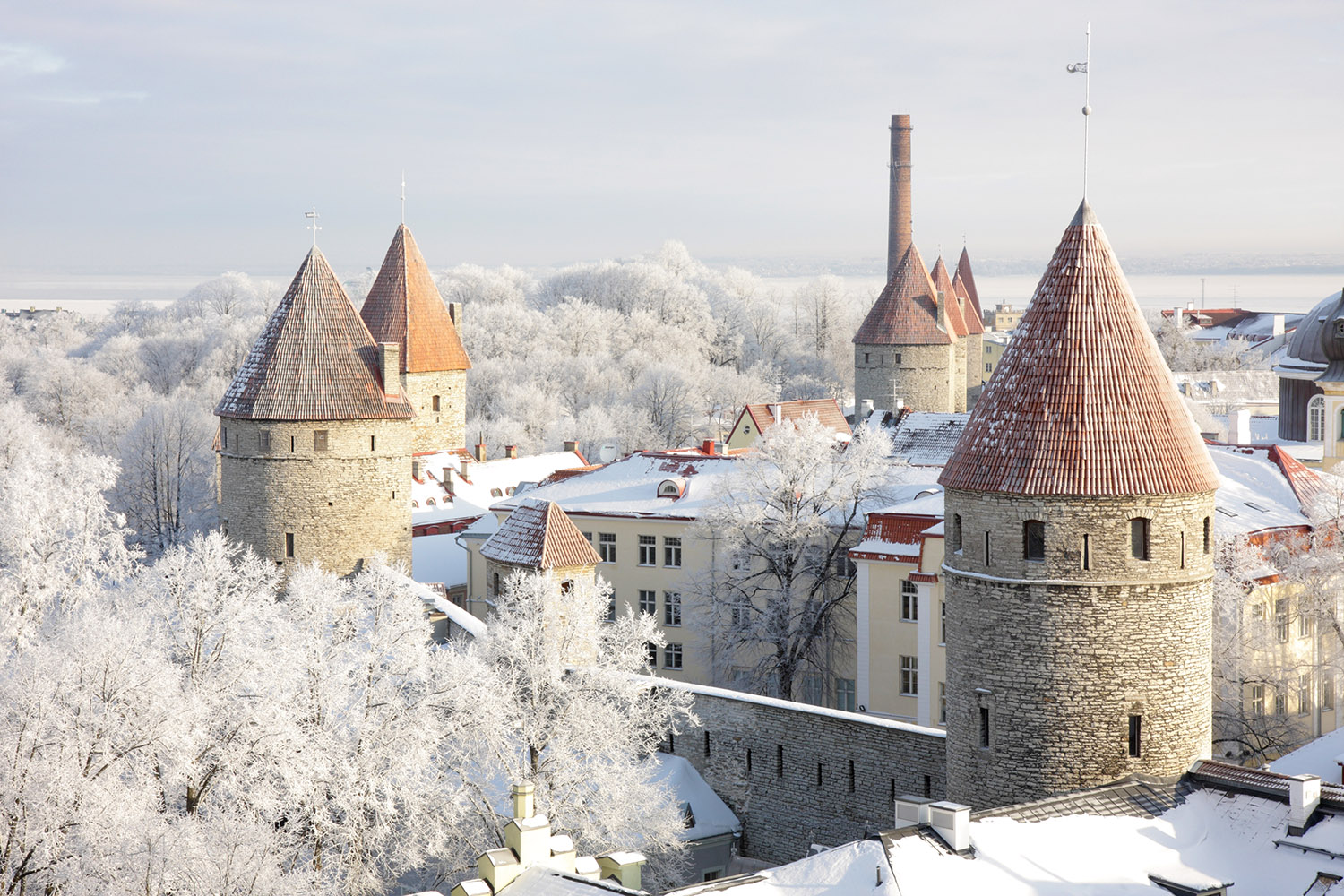 Was sind die besten Reiseziele im Dezember? Tallinn, Estland.