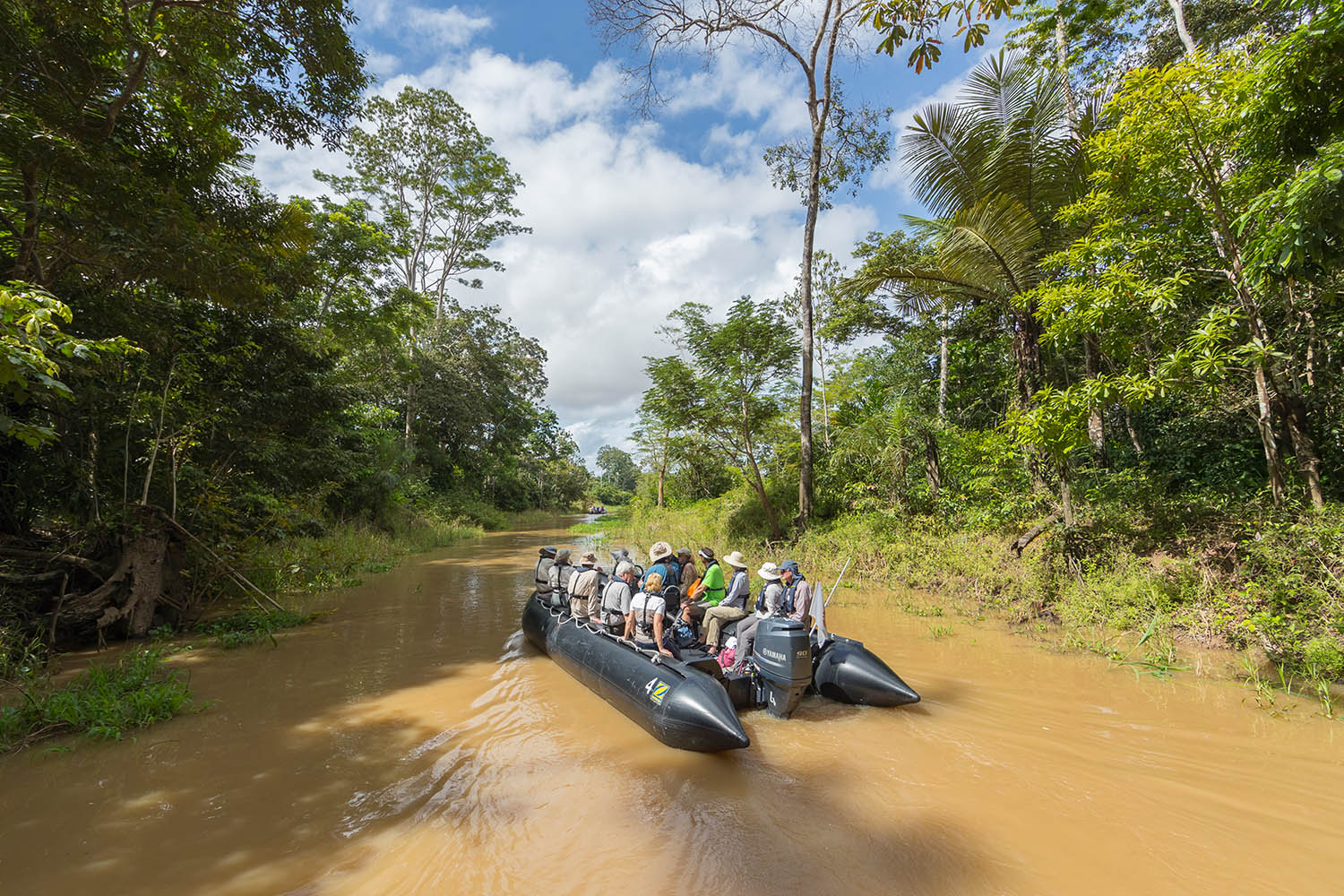 Zodiac-Fahrt im Dschungel des Amazonas mit der Seabourn Venture