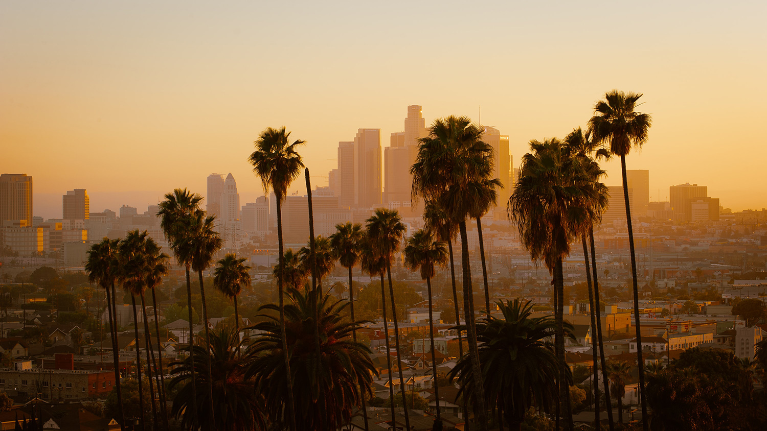 Wohin im Jänner: L. A., die Stadt der Engel, ist zweifelsohne eine der beliebtesten Destinationen in den USA. 