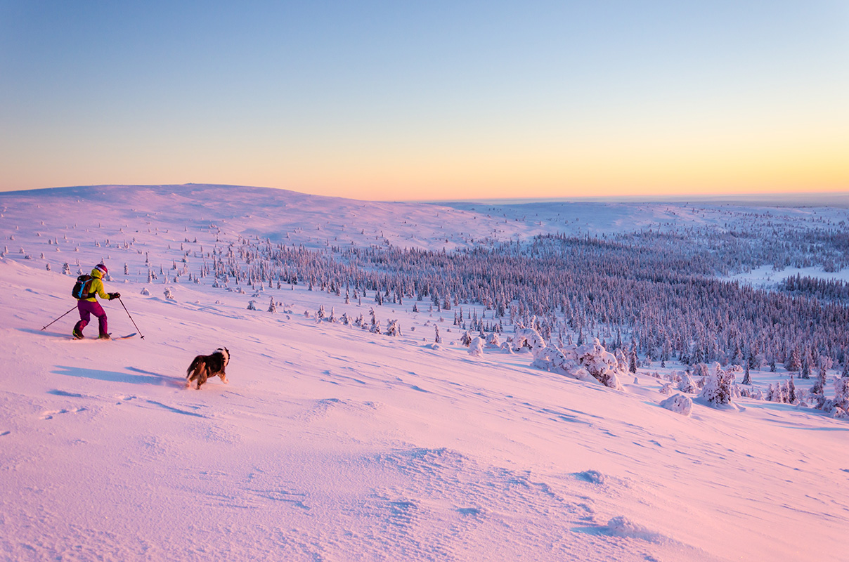 5 Top-Adressen für ein Winterabenteuer mit Hund im Salzburger Land