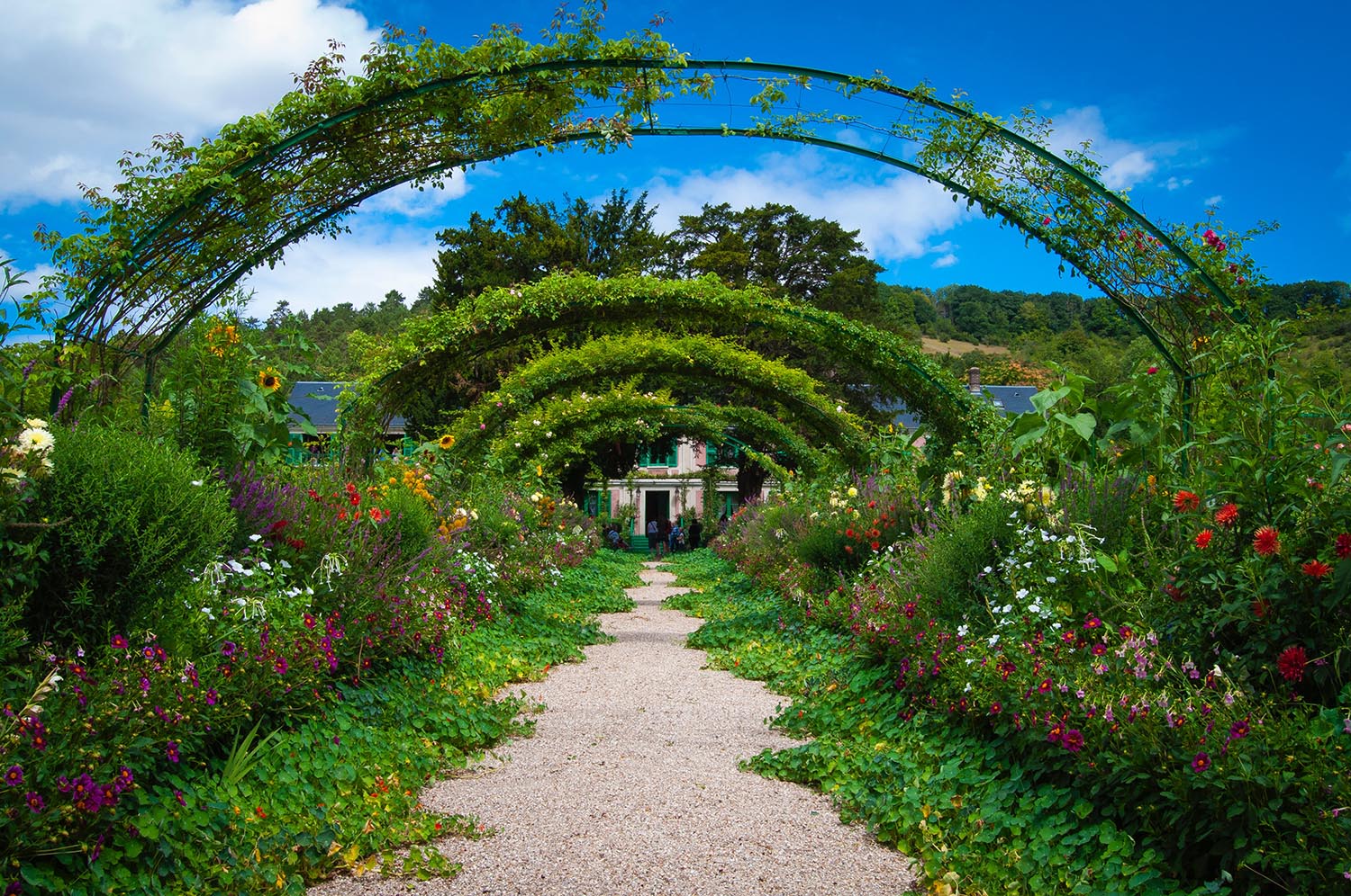 Urlaub in Blumenmeeren: Claude Monet Jardin de Giverny