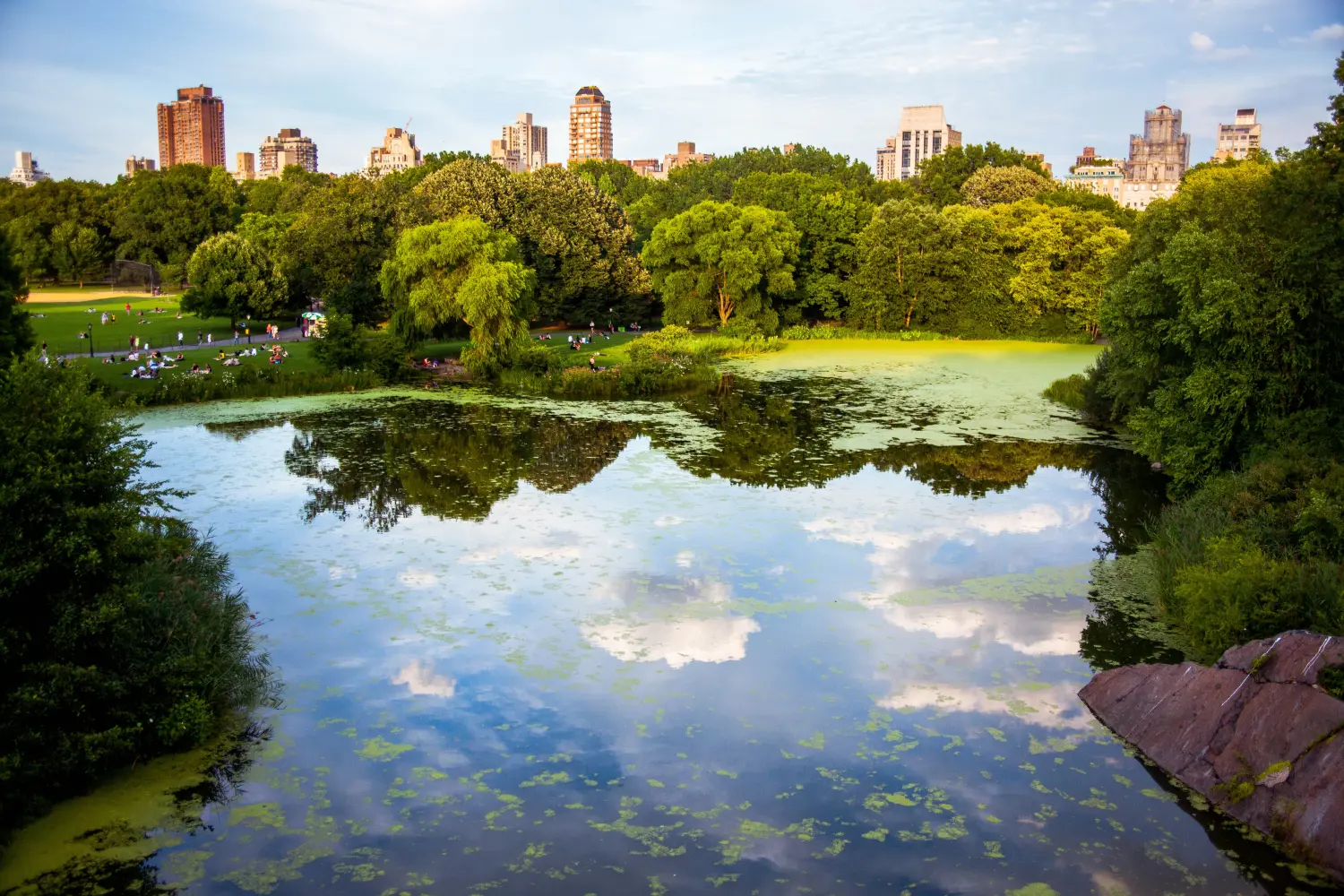 Reiseziele im Juni Central Park New York