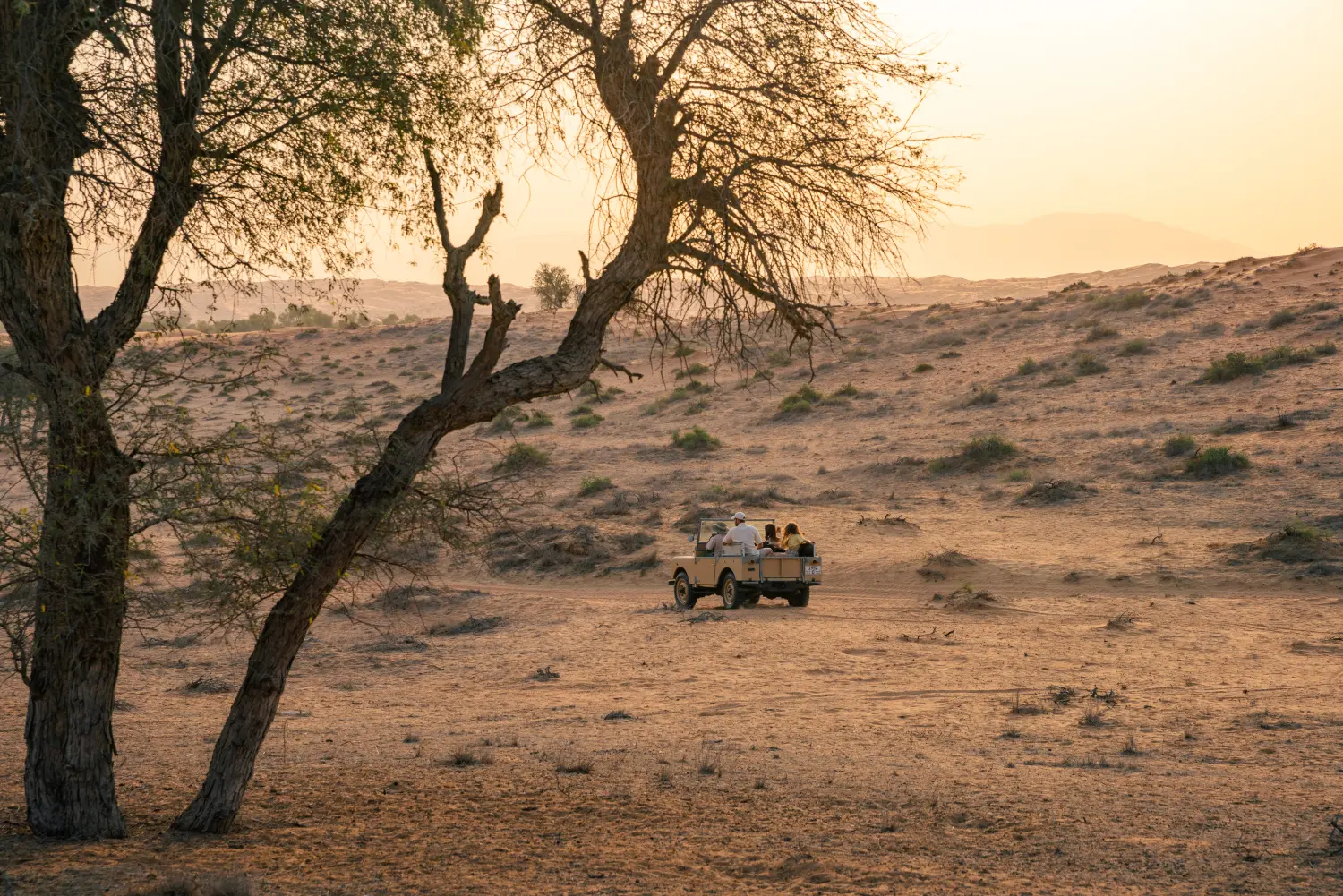 Safari Wüste Ras al Khaimah
