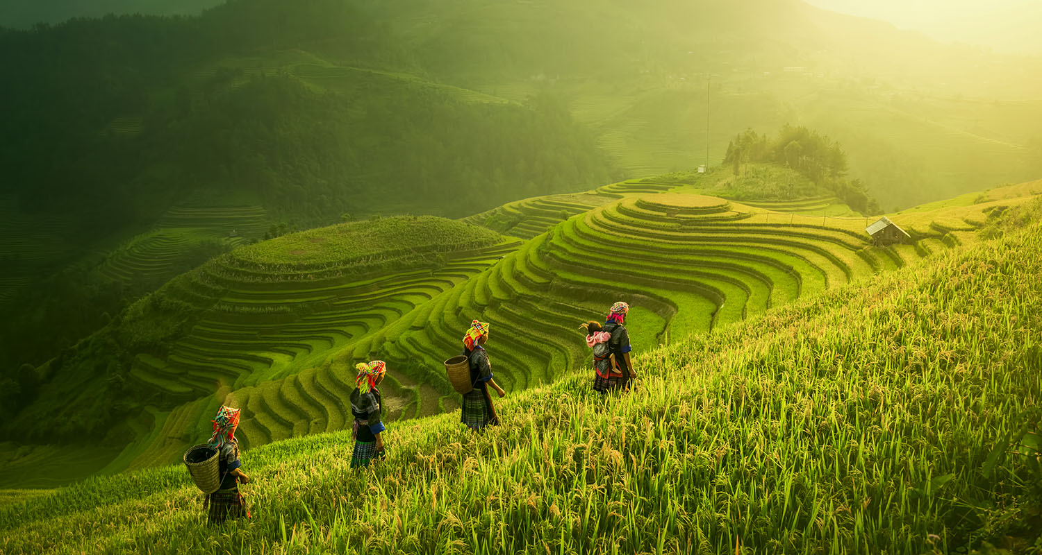 Vietnam: Schönheit sondergleichen